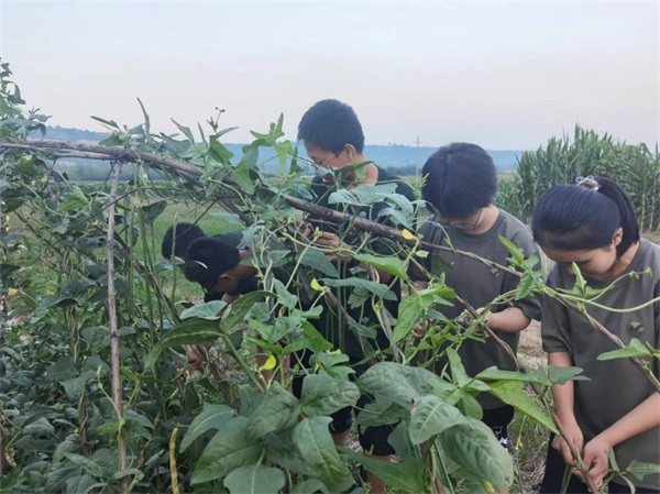 202207261447497160.jpg 图片5.jpg