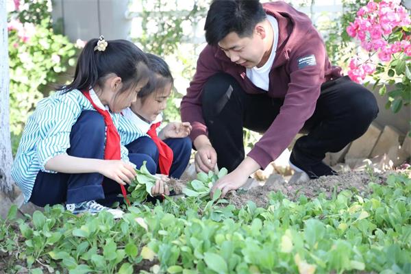 202211081556231714.jpg 快乐采摘 收获喜悦.jpg