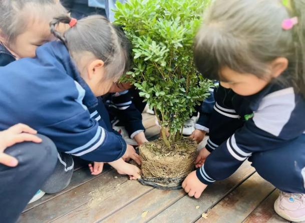 202303101025257448.png 图片2.png