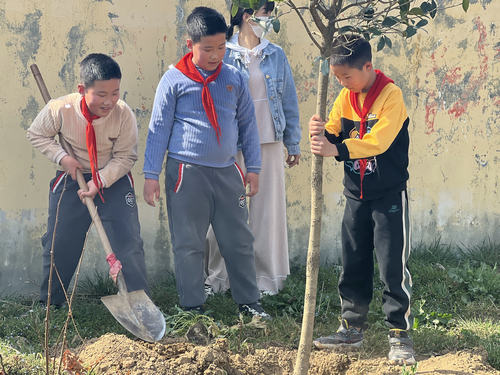 202303101116215760.jpg 2.jpg