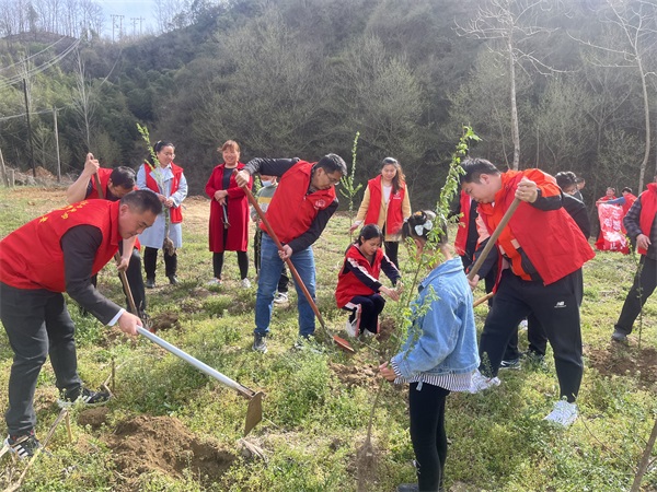 202303131044169332.jpg 图片2.jpg