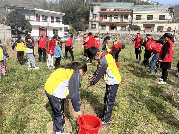 202303131044213866.jpg 图片3.jpg