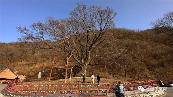 202303161318293860.jpg 微信图片_20230316121859.jpg