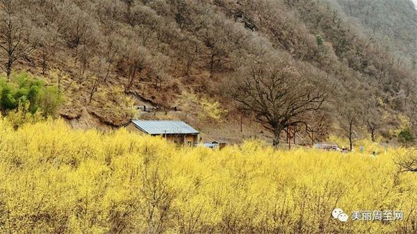 202303161318446743.jpg 微信图片_20230316121905.jpg