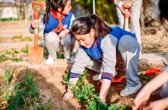 202304021407595776.png 微信图片_20230402140701.png