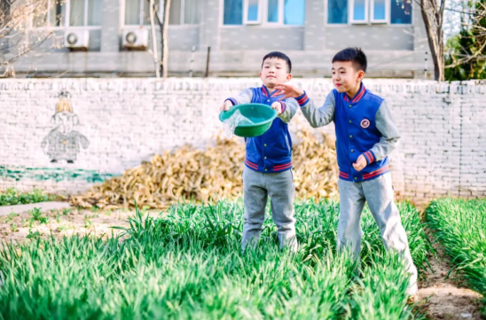 202304021408123253.png 微信图片_20230402140708.png