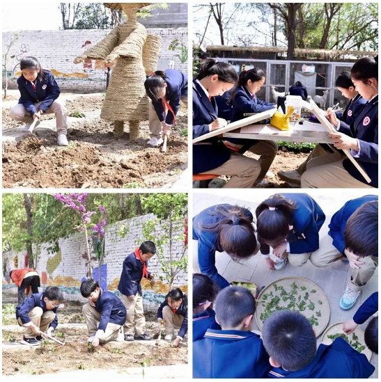 202304021408257568.png 微信图片_20230402140716.png