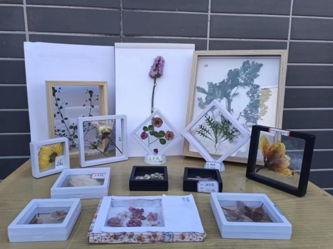 202304170858462252.jpg 图片9_副本.jpg