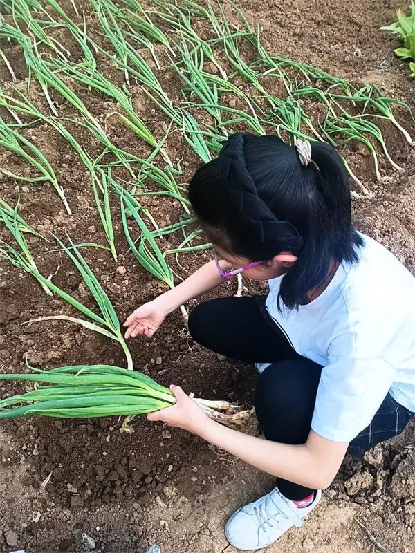 202306051256543486.jpg QQ图片20230601155442.jpg