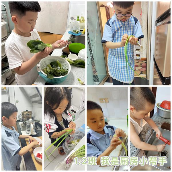 202306081300062825.jpg 7.jpg